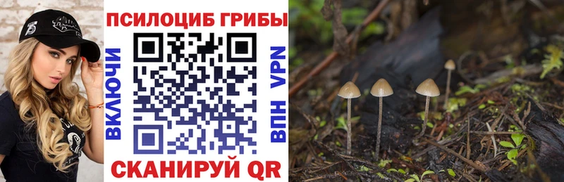 наркота Нюрба Псилоцибиновые грибы GOLDEN TEACHER